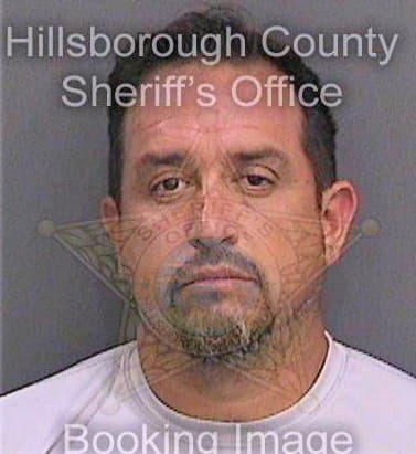 Berrios Alan - Hillsborough County, FL 