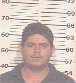 Alvarez Antonio - Hidalgo County, TX 