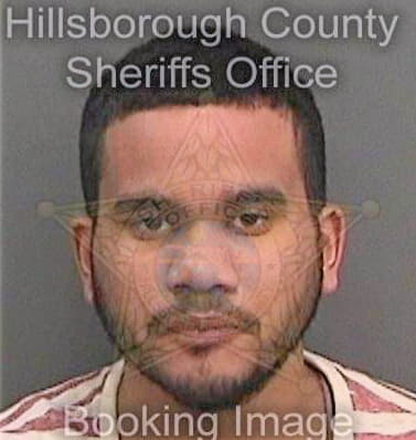 Cruz David - Hillsborough County, FL 