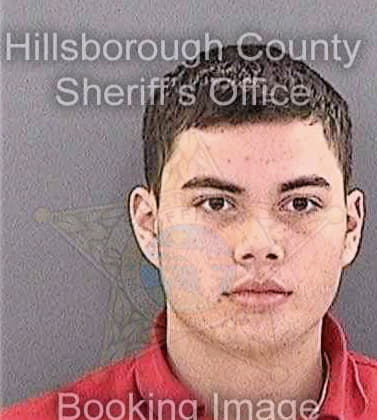 Stoyle Travis - Hillsborough County, FL 