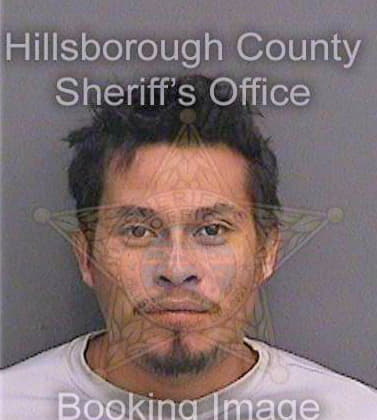 Patriciosoto Rene - Hillsborough County, FL 