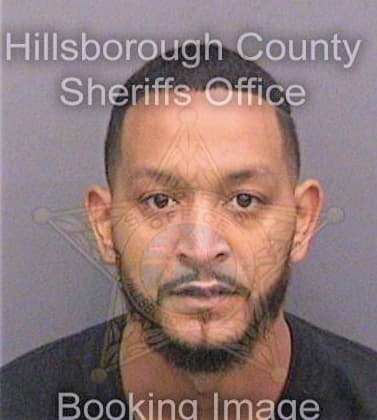 Hamilton Rosson - Hillsborough County, FL 