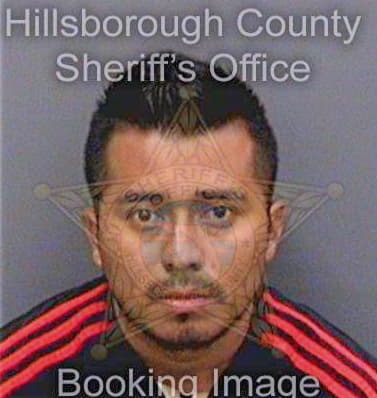 Martinez Samuel - Hillsborough County, FL 