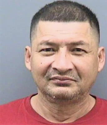 Carranza Jose - Hillsborough County, FL 