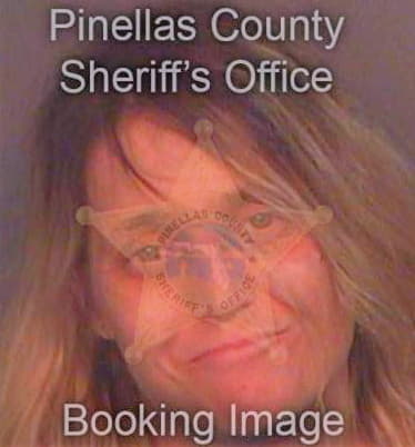 Daniels Sue - Pinellas County, FL 