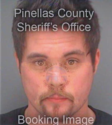 Epperson Brandon - Pinellas County, FL 