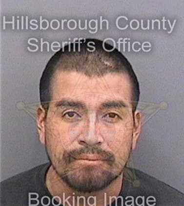 Diaz Hermilmo - Hillsborough County, FL 