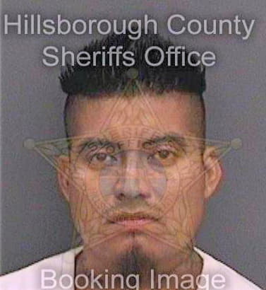 Perezperez Josue - Hillsborough County, FL 