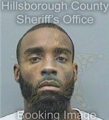 Mcfarland Anthony - Hillsborough County, FL 