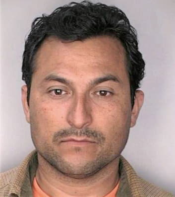 Melendez Ronnie - Hillsborough County, FL 