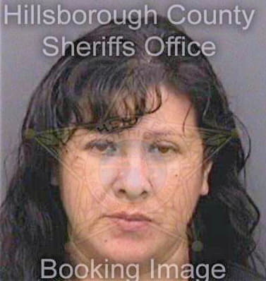 Lopeztrevino Aracely - Hillsborough County, FL 