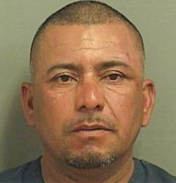 Martinezmeza Ramon - PalmBeach County, FL 