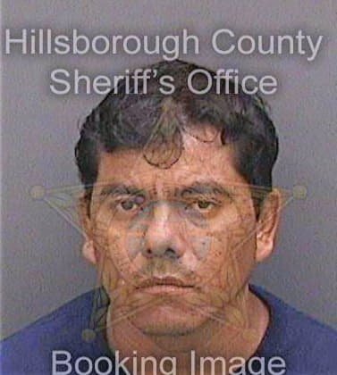 Mendezhernandez Salvador - Hillsborough County, FL 