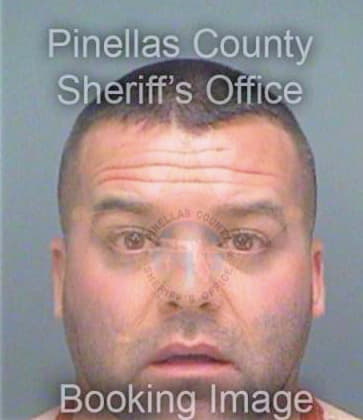 Patsch Matthew - Pinellas County, FL 