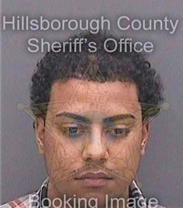 Flores Adriel - Hillsborough County, FL 