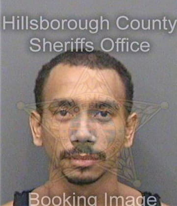 Buescher Brian - Hillsborough County, FL 