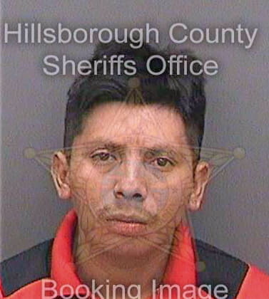 Gonzalezoxlaj Juan - Hillsborough County, FL 