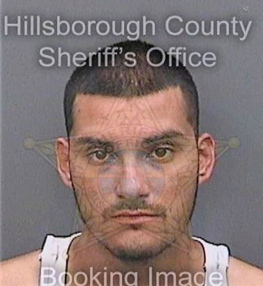 Mendez Joaquin - Hillsborough County, FL 