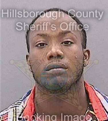 Johnson Rodney - Hillsborough County, FL 