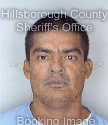 Delacruz Rodolfo - Hillsborough County, FL 