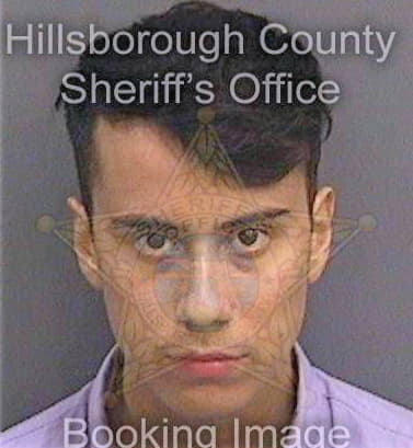 Gaona Anthony - Hillsborough County, FL 