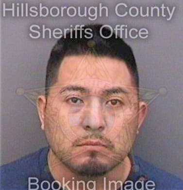 Lopezgomez Jose - Hillsborough County, FL 