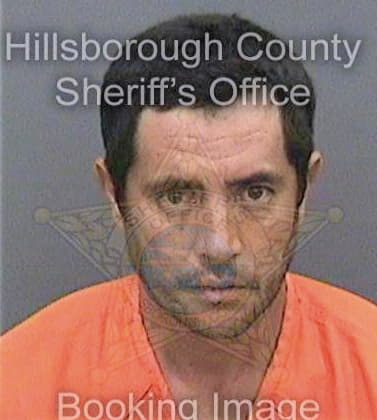 Sierra Roberto - Hillsborough County, FL 