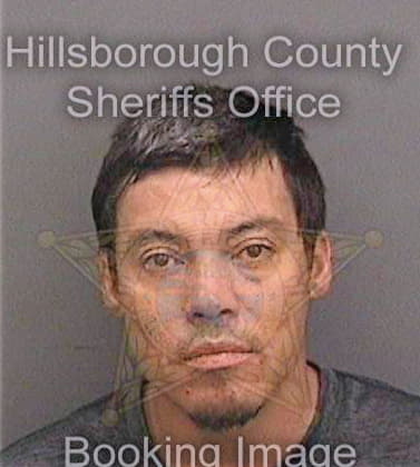 Mendoza Sergio - Hillsborough County, FL 