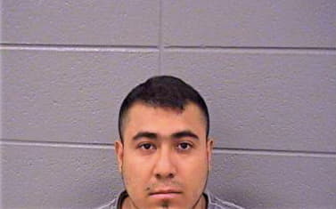 Gonzalez Armando - Cook County, IL 