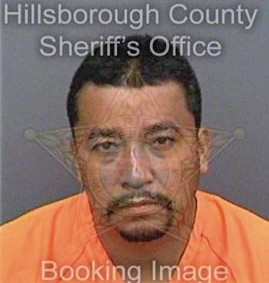 Villatoro Marvin - Hillsborough County, FL 