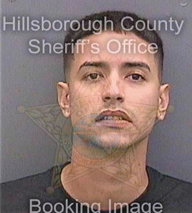 De-La-Cruz-Delgado Rolando - Hillsborough County, FL 