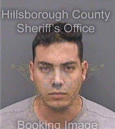 Rianogarcia Sergio - Hillsborough County, FL 