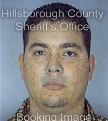 Salas Carlos - Hillsborough County, FL 