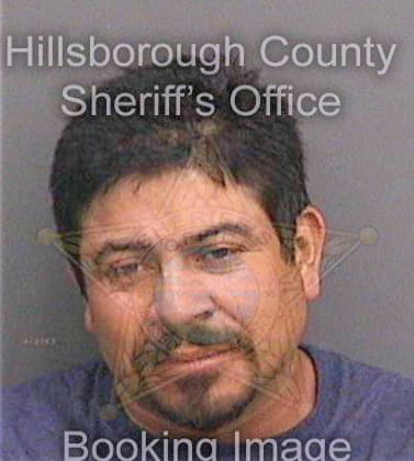 Lemuzmorales Gregorio - Hillsborough County, FL 