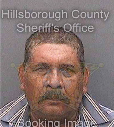 Garcia Magdaleno - Hillsborough County, FL 