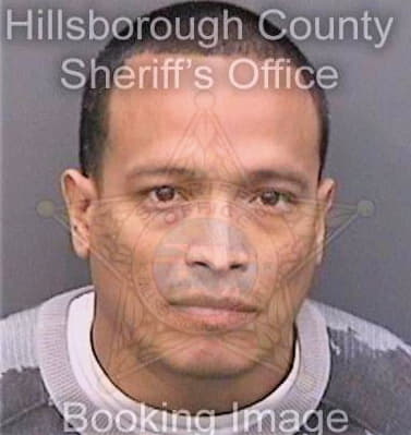 Silva Luis - Hillsborough County, FL 