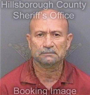 Gonzalezramirez Arnolod - Hillsborough County, FL 