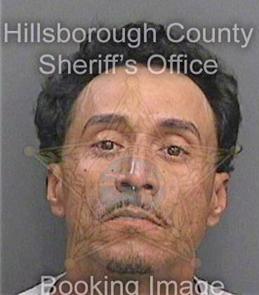 Brito Paul - Hillsborough County, FL 