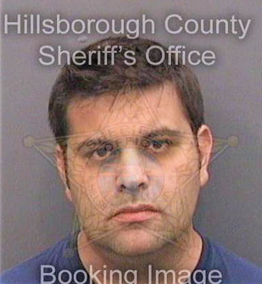 Dickman David - Hillsborough County, FL 