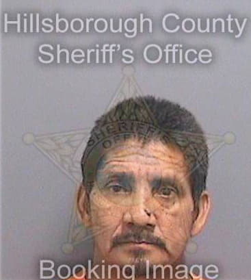 Dejesusmorales Manuel - Hillsborough County, FL 