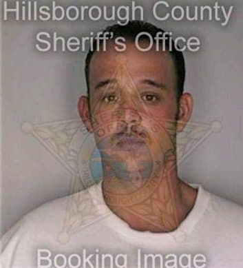 Delcampo Michael - Hillsborough County, FL 