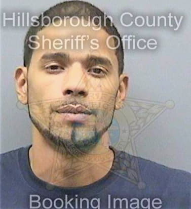 Boffil Anthony - Hillsborough County, FL 