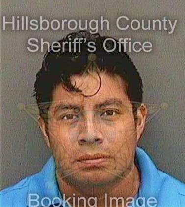 Diazperez Ernesto - Hillsborough County, FL 