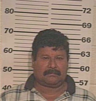 Andrade Francisco - Hidalgo County, TX 