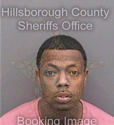 Vasquez Ivan - Hillsborough County, FL 