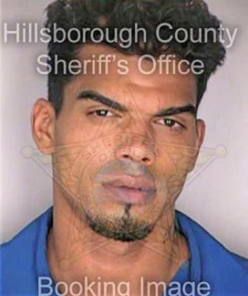 Erazo Jose - Hillsborough County, FL 