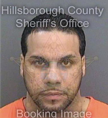 Vega Raul - Hillsborough County, FL 