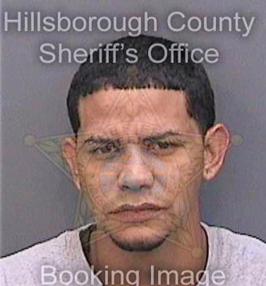 Campagnetorres Abelardo - Hillsborough County, FL 