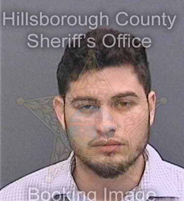 Panneflekmoreno Juan - Hillsborough County, FL 