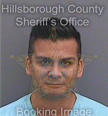 Viera Hector - Hillsborough County, FL 